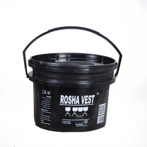 گچ روشا وست